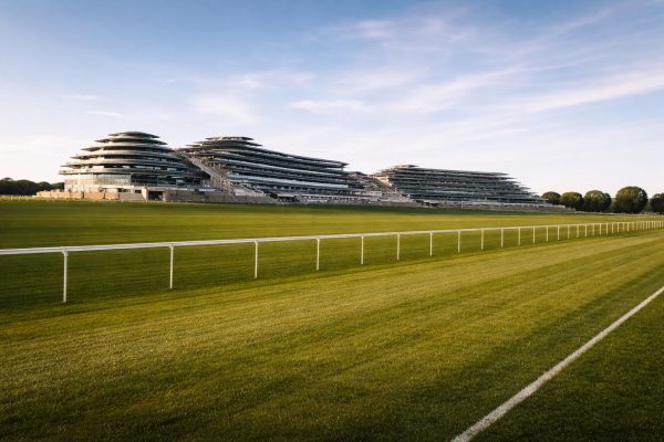 Local Private Hire with Adoda in Newmarket